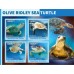 Фауна Оливковая морская черепаха Ридли